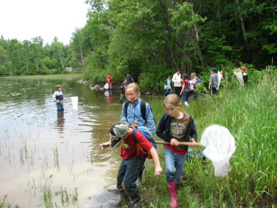 À la recherche d'organismes aquatiques